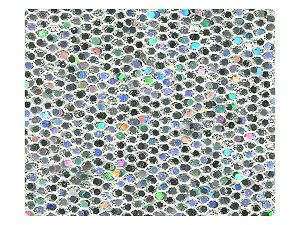 107 Silver Scale Fabric Swatch 
