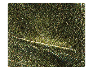 120 Gold Leather Fabric Swatch 