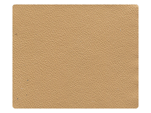 157 Beige Brown Leather Fabric Swatch 