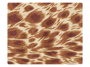 164 Babylon Shell Fabric Swatch 