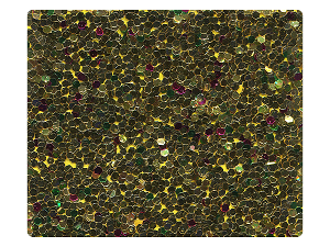 184 Rainbow Sparkle Fabric Swatch 