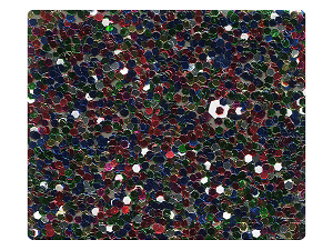 189 Party Sparkle Fabric Swatch 