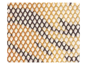 240 Cheetah Sparklenet Fabric Swatch 