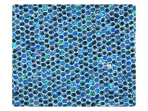 280 Blue Scale Fabric Swatch 