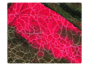289 Gold_Pink PU Fabric Swatch 