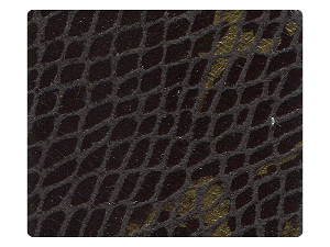 85 Black Snake Fabric Swatch 
