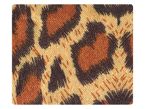 12 Leopard Satin Fabric Swatch 