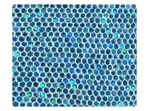 120 Blue Scale Fabric Swatch 
