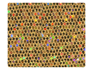 128 Light Gold Scale Fabric Swatch 
