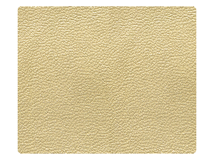 51 Light Gold PU Fabric Swatch 