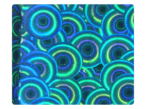 59 Blue Spiral PU Fabric Swatch 