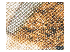 101 Copper Geometric PU Fabric Swatch 