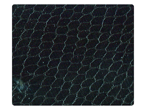 110 Snake Black Fabric Swatch 