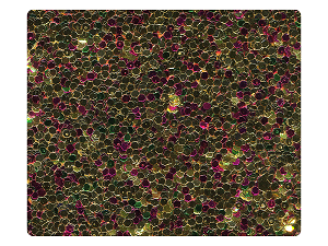 124 Gold Illustion_Rainbow Sparkle Fabric Swatch 