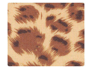 128 Light Leopard Satin Fabric Swatch 