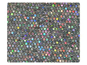 20 Grey Scale Fabric Swatch 