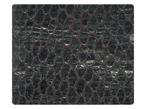 71 Snake Silver_Black Satin Fabric Swatch 