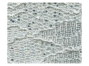 01 Lace Silver Scale Fabric Swatch 