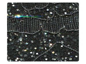 05 Lace Black_Silver Scale Fabric Swatch 