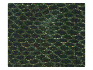 106 Snake Grey Satin Fabric Swatch 