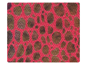 238 Red Print Fabric Swatch 