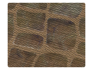 239 Lizards Print Fabric Swatch 