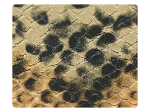 246 Black _Orange Snake PU Fabric Swatch 