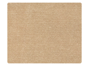 253 Light Tan Velvet Fabric Swatch 
