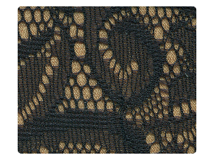 258 Flesh_Black Lace Fabric Swatch 